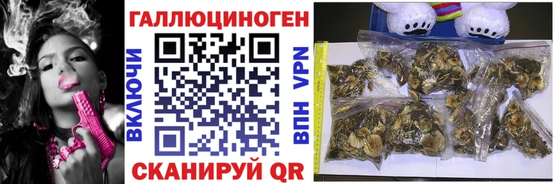 Псилоцибиновые грибы GOLDEN TEACHER  hydra   Стерлитамак 