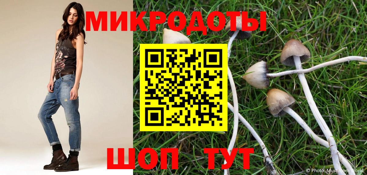 Псилоцибиновые грибы мухоморы Стерлитамак