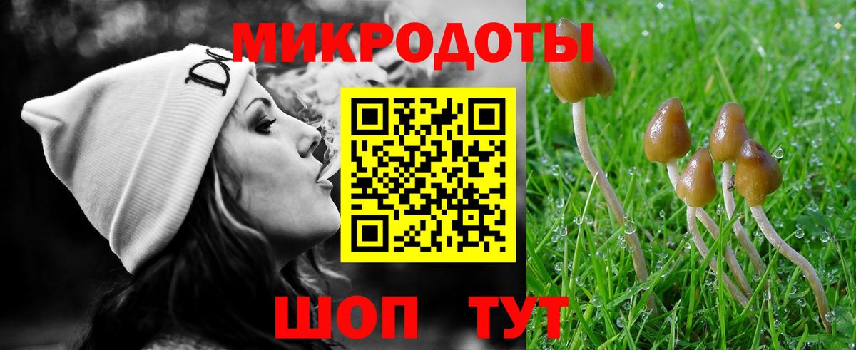 купить закладку  Вход с VPN  Стерлитамак  Галлюциногенные грибы Cubensis 