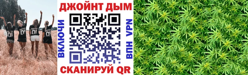 наркота  Стерлитамак  Каннабис индика 